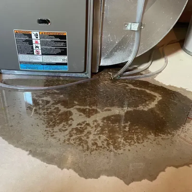 Appliance Leak Cleanup in Lexington, IL